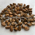 pebble stone for epoxy flooring