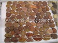 polished river stone pebble tile