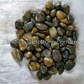 strip polished pebble stone