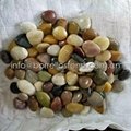 mixed color polished pebble stone 4