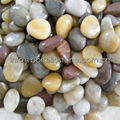 mixed color polished pebble stone