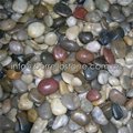mixed color polished pebble stone 7