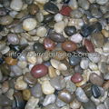 mixed color polished pebble stone