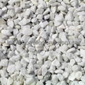 decorative white stone chips