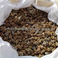 yellow granite stone aggregate