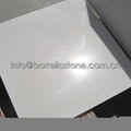 polished marble tile