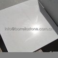 polished marble tile 2