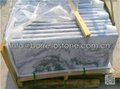 gray marble pool coping 7