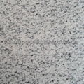 G365 white granite 2