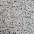 G365 white granite