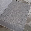 flamed white granite paving stone 5