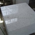 polished white granite wall cladding 2