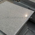 polished white granite wall cladding 3