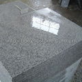 polished white granite wall cladding