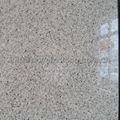 polished white granite wall cladding 6