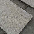 G350 yellow granite paver 6