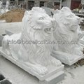 Chinese marble stone lion statues 2