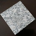 natural grey granite stone