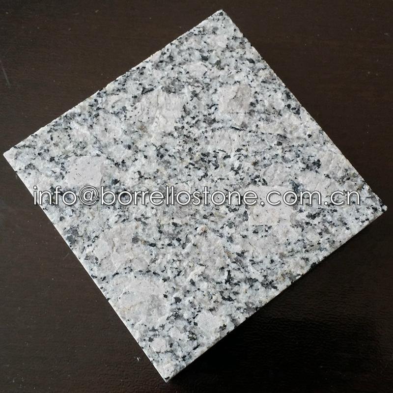 G383 light grey granite  3