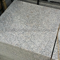 G383 light grey granite  6