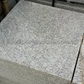 G383 light grey granite 
