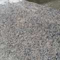 G383 grey granite slab 