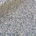 G383 grey granite slab  4