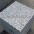 G341 flamed granite paver 3