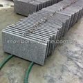 G341 flamed granite paver 2