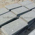 G341 flamed granite paver 4