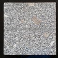 G341 grey granite cube setts