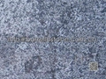 tumbled blue limestone paver