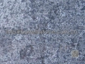 tumbled blue limestone paver