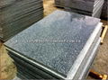 g654 padang grey granite