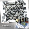 grey pebble stone