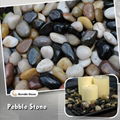 mixed color polished pebble stone