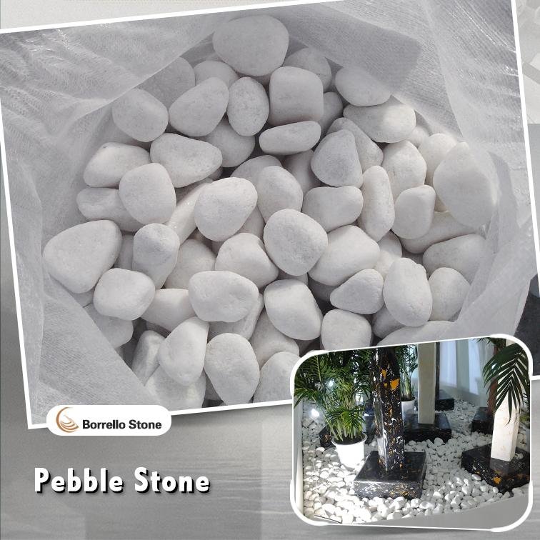 landscaping white pebble stone