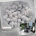 landscaping white pebble stone (Hot Product - 1*)