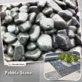 natural stone black pebble 