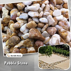 soybean yellow pebble stone