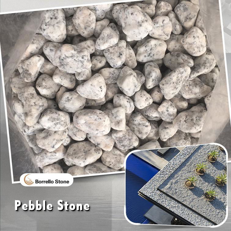 sesame white granite pebble 