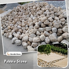 yellow sesame granite pebble