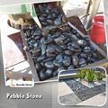 dark grey flat pebble stone