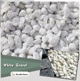 white stone gravel 1