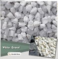 white terrazzo gravel 8-12mm