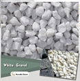 white terrazzo gravel 8-12mm 1