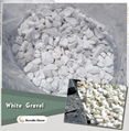 white stone terrazzo chips 1