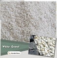 white stone pea gravel 3-5mm 1