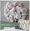 white gravel stone 20-30mm