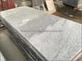 G302 grey granite slab